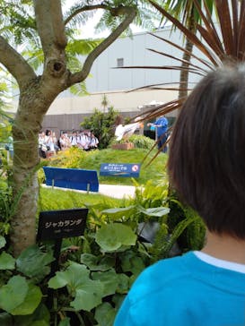 サンシャイン水族館に投稿された画像（2024/6/3）