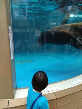 サンシャイン水族館に投稿された画像（2024/6/3）