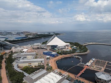 横浜・八景島シーパラダイス　プレジャーランドに投稿された画像（2024/6/3）