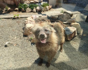 しろとり動物園に投稿された画像（2024/6/3）