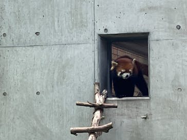 到津の森公園に投稿された画像（2024/6/3）