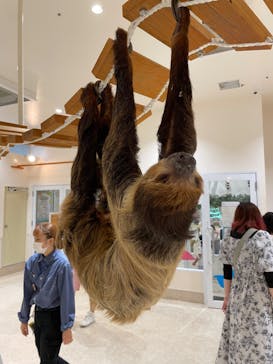 アニタッチららぽーと名古屋みなとアクルスに投稿された画像（2024/6/3）