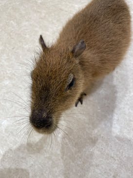 アニタッチららぽーと名古屋みなとアクルスに投稿された画像（2024/6/3）