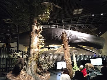 国立科学博物館に投稿された画像（2024/6/3）