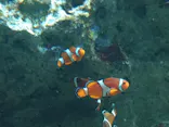 サンシャイン水族館に投稿された画像（2024/6/3）