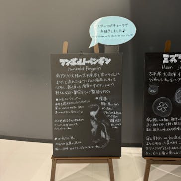 DMMかりゆし水族館に投稿された画像（2024/6/3）