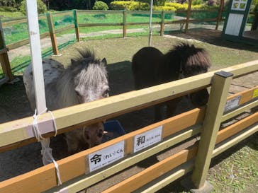 恵那峡ワンダーランドに投稿された画像（2024/6/3）