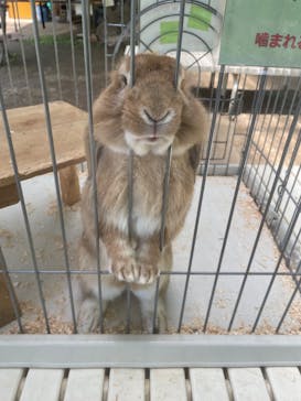 恵那峡ワンダーランドに投稿された画像（2024/6/3）