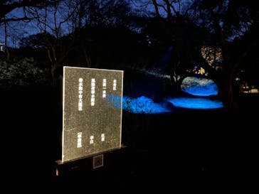 六義園に投稿された画像（2024/6/3）