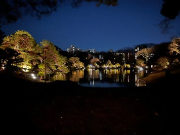 六義園に投稿された画像（2024/6/3）