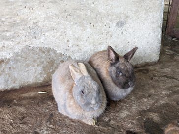 東北サファリパークに投稿された画像（2024/6/3）
