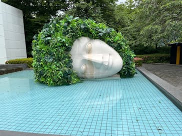 彫刻の森美術館に投稿された画像（2024/6/3）