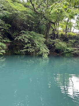 FEELGOOD CANOE TOURS（フィールグッドカヌーツアーズ）に投稿された画像（2024/6/3）