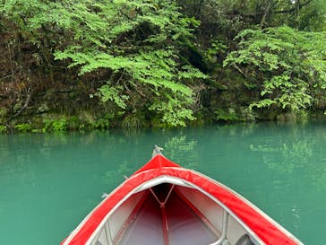 FEELGOOD CANOE TOURS（フィールグッドカヌーツアーズ）に投稿された画像（2024/6/3）