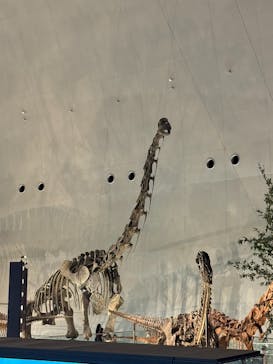 福井県立恐竜博物館に投稿された画像（2024/6/3）