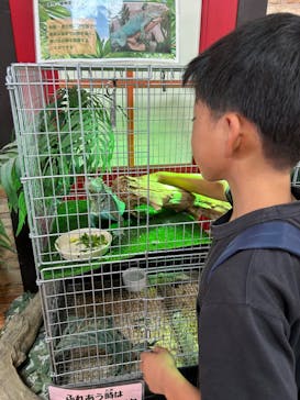 いきもの探検隊上尾に投稿された画像（2024/6/3）