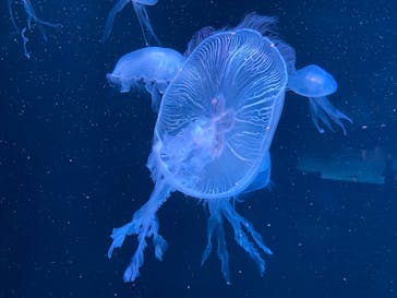 AOAO SAPPOROに投稿された画像（2024/6/3）