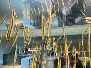 AOAO SAPPOROに投稿された画像（2024/6/3）