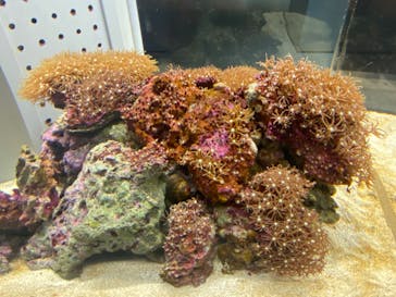 AOAO SAPPOROに投稿された画像（2024/6/3）