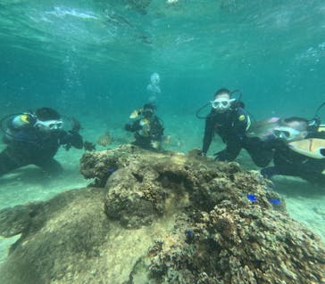 沖縄マリンサービス碧に投稿された画像（2024/6/3）