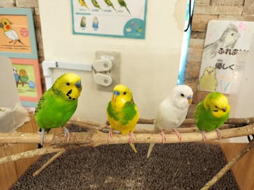 アニタッチ MARK IS 静岡に投稿された画像（2024/6/3）