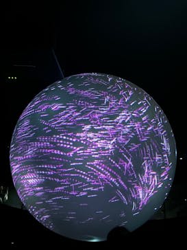 NIFREL（ニフレル）に投稿された画像（2024/6/3）