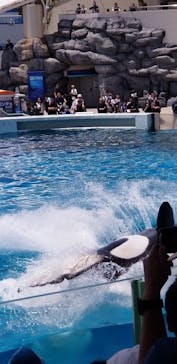 鴨川シーワールドに投稿された画像（2024/6/3）