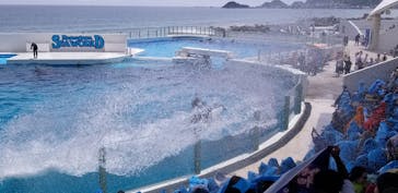 鴨川シーワールドに投稿された画像（2024/6/3）