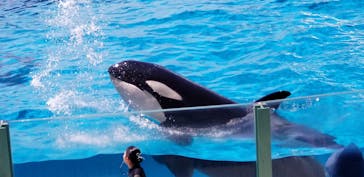 鴨川シーワールドに投稿された画像（2024/6/3）