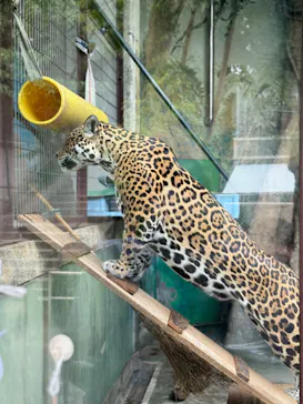 天王寺動物園に投稿された画像（2024/6/3）