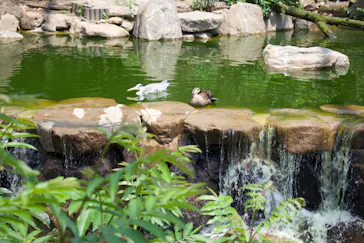 天王寺動物園に投稿された画像（2024/6/3）