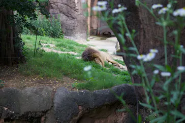 天王寺動物園に投稿された画像（2024/6/3）