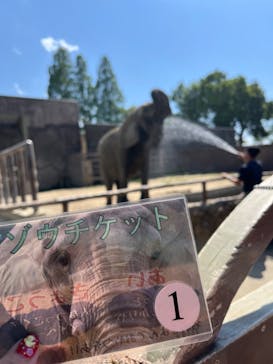 東武動物公園に投稿された画像（2024/6/3）