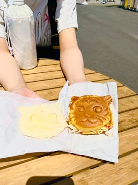 東武動物公園に投稿された画像（2024/6/3）