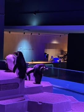 AOAO SAPPOROに投稿された画像（2024/6/3）