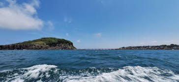 東尋坊観光遊覧船株式会社に投稿された画像（2024/6/3）