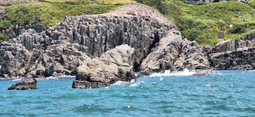 東尋坊観光遊覧船株式会社に投稿された画像（2024/6/3）