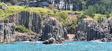 東尋坊観光遊覧船株式会社に投稿された画像（2024/6/3）