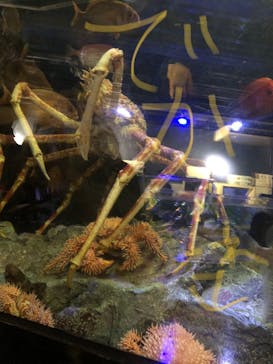 竹島水族館に投稿された画像（2024/5/28）