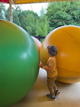 日本モンキーパークに投稿された画像（2024/6/3）