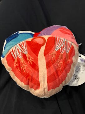 特別展「大哺乳類展３－わけてつなげて大行進」に投稿された画像（2024/6/3）