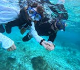 宮古島 ADVENTURE PiPi（ミヤコジマ アドベンチャー ピピ）に投稿された画像（2024/6/3）