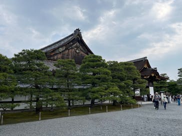 元離宮二条城に投稿された画像（2024/6/3）