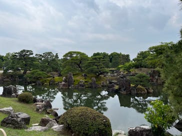 元離宮二条城に投稿された画像（2024/6/3）