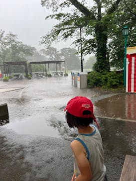 西武園ゆうえんちに投稿された画像（2024/6/3）