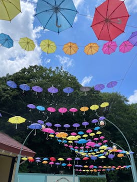 ムーミンバレーパークに投稿された画像（2024/6/3）