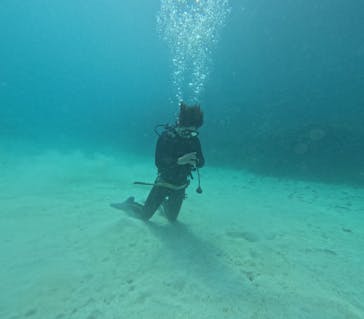 BLUE SPACE（ブルースペース）に投稿された画像（2024/6/3）