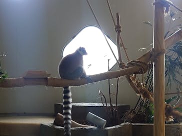 NIFREL（ニフレル）に投稿された画像（2024/6/3）