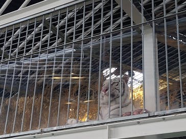 NIFREL（ニフレル）に投稿された画像（2024/6/3）