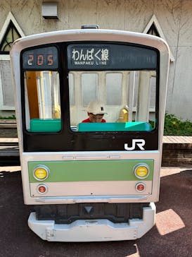 日本モンキーパークに投稿された画像（2024/6/3）